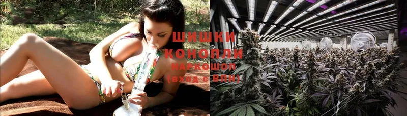 МАРИХУАНА THC 21%  цена наркотик  Дигора 